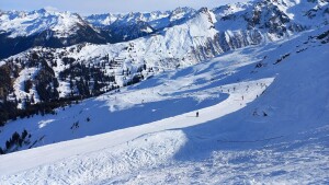 WhatsApp Image 2026-01-25 at 12.21.29