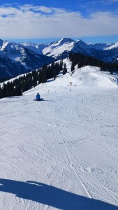 WhatsApp Image 2026-02-14 at 08.59.11